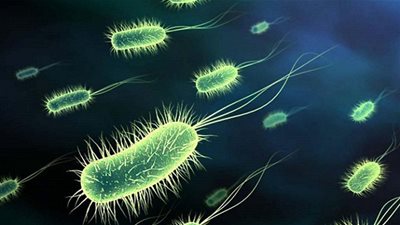 دراسة جديدة تمهد الطريق للقضاء على البكتيريا المقاومة للدواء