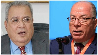 وزير الثقافة: جابر عصفور بخير وعاد لمنزله