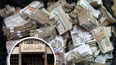 هذا هو مصير الـ150 مليون جنيه حصيلة رشوة مدير المشتريات بمجلس الدولة.. وبرلماني: 