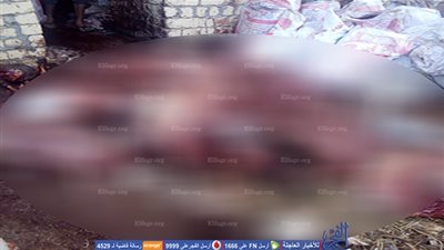 ضبط حمير وكلاب مذبوحة داخل مزرعة بالشروق (صور) 