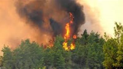 نشر طائرات عسكرية لإخماد حرائق الغابات جنوبي سويسرا