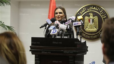 بالأرقام.. القروض والمنح  التى حصلت عليها وزارة التعاون الدولي خلال 2016