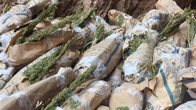 مصدر أمني: ضبط طن بانجو داخل 100 جوال بجنوب سيناء