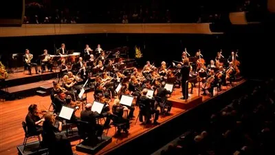 جرحى جراء حادث تدافع خلال مهرجان موسيقي بأستراليا