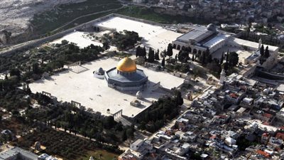 رئيس منظمة السلام العالمي: 