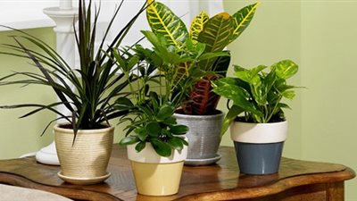 الأشياء الأكثر غرابة على الإطلاق التي يمكنها أن تسبب الحساسية.. احذريها !