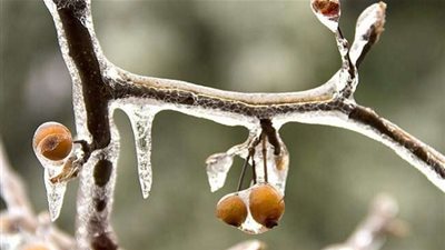 تعرف على الفرق بين المطر المتجمد والحبيبات الجليدية