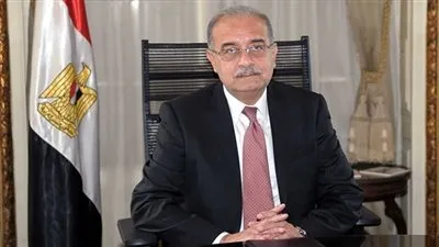 رانيا محمود ياسين: رئيس الحكومة قد لا يستكمل مهامه في 2017 لظروفه الصحية