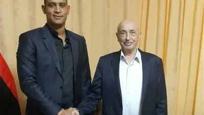 رئيس مجلس النواب للشؤون الافريقية يشيد بموقف 