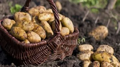 في ذكرى اكتشافها.. 10 معلومات لا تعرفها عن 