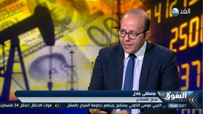 خبير اقتصادي: استحواذ البنوك على الدولار يعيد الحياة  إلى السوق السوداء  