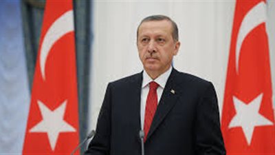 أردوغان: لا مطامع لتركيا في دول الجوار
