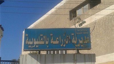 عاجل.. اعتصام موظف بـ