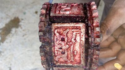 ضبط حظيرة مواشى بالسويس حولها صاحبها إلى سلخانة بأختام مزورة (صور )