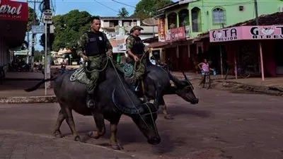شرطة البرازيل الوحيدة في العالم التي تقوم بدوريات على ظهر 