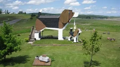 من أغرب أفكار المباني السكنية بالعالم.. فندق على هيئة كلب !