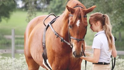 مفسر أحلام يوضح معنى رؤية الفتيات للخيل في المنام 