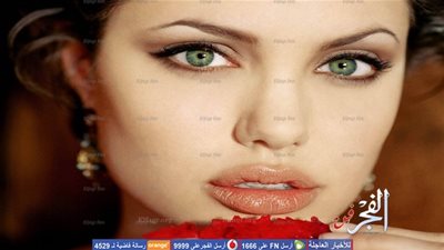 دفاع أنجلينا جولي يوافق على طلبات براد بيت