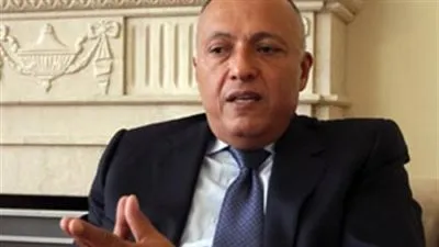 مدير مركز دراسات الخليج يكشف سر زيارة وزير الخارجية لـ