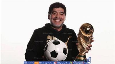 استقبال خاص لـ 