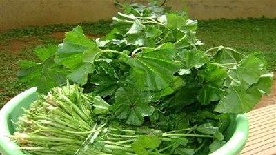 11 فائدة طبية لـ