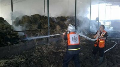 السيطرة على حريق داخل مزرعة مواشي بالجيزة