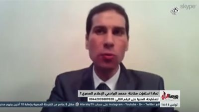 محمد الألفي: التسريبات لاتمثل أزمة للمجتمع عقب تكرارها (فيديو)