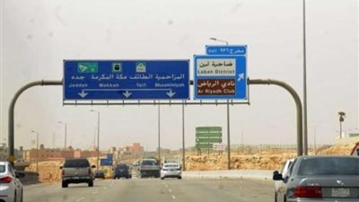 تعرف على قصة تأسيس أول خلية نحل تطويرية بـ