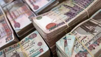 ضبط تاجر وصاحب شركة في سوهاج بحوزتهما 11 مليونا من أموال المصريين بالكويت