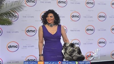 حورية فرغلي وريهام عبد الغفور وداليا مصطفى يصلون حفل انطلاق قنوات DMC (صور)