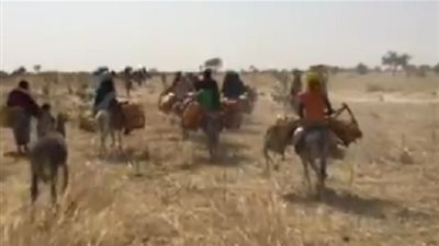 في التشاد.. النساء تنطلق على ظهر الدواب بمسافة 5 كم للحصول على الماء فقط (فيديو)