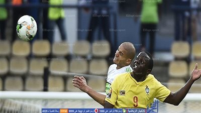 العارضة تتعاطف مع زيمبابوي وتحرم الجزائر من التعادل (فيديو)