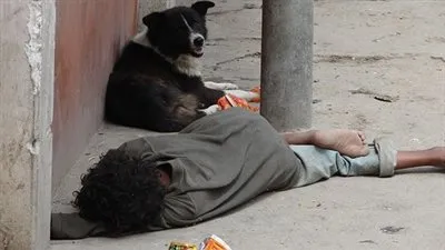 حازم الملاح: 16 ألف طفل بلا مأوى في مصر