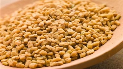 تعرفي على الفوائد الحلبة للشعر الهش