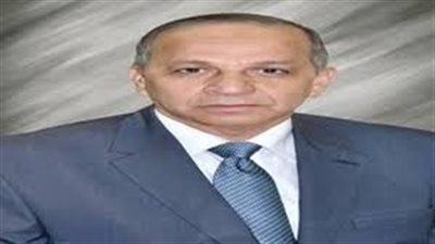 محافظ الوادي الجديد لـ المواطنين: 