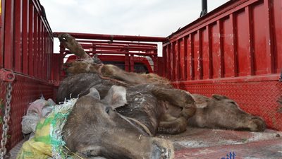 كلاكيت تاني مرة.. وقفة لـ