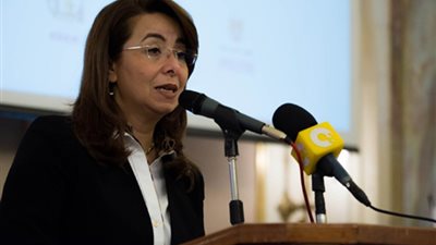 غادة والي: الانتهاء من قانون 