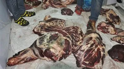 ضبط 2 طن لحوم فاسدة قبل بيعها بالجيزة