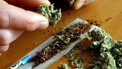 من ست البنات إلى توكلت على الله.. أغرب أسماء أصناف الكيف في مصر (تقرير)