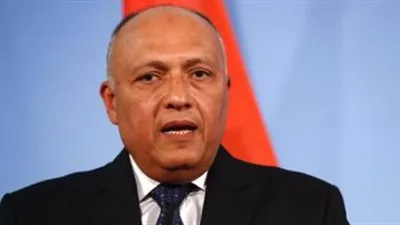 وصول وزراء دول الجوار الليبى إلى مقر الخارجية لبحث الأزمة الليبية