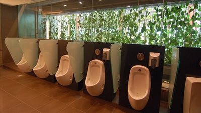 ماهو حكم الشرع في 