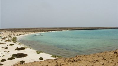 أخبار السعودية اليوم.. الأرصاد