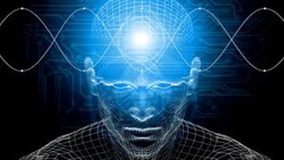 تعرف على الفريق بين العقل والدماغ !