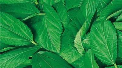 9 فوائد مذهلة لتناول 