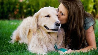 كلاب بدرجة أوفياء.. أبطال أنقذوا أصدقائهم من الموت (صور)