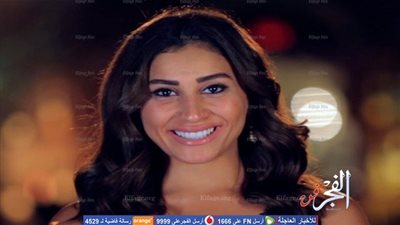 دينا الشربيني: حرقت علم فلسطين (فيديو)