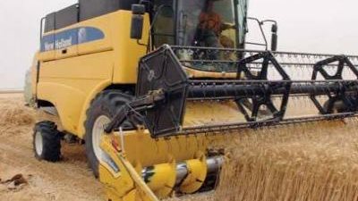 5 وزراء يشهدون تجربة جديدة لحصاد القمح بالإسماعيلية