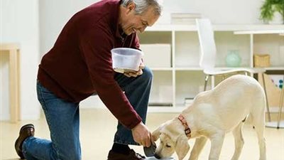 5 نصائح لابد أن تعرفتها قبل التفكير في تربية الكلاب !