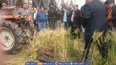 وزراء  الموارد المائية والري والتموين يشهدون الاحتفال بحصاد القمح في الإسماعيلية (صور)
