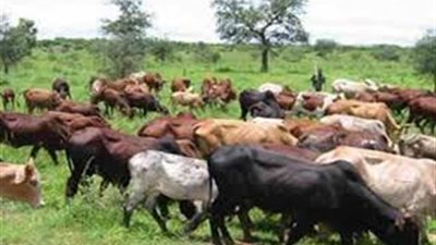 السودان يوقع اتفاقية للتمويل الإضافي مع الصندوق الدولي للتنمية الزراعية